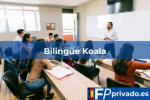 Bilingüe Koala