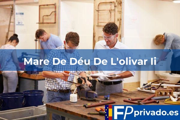 centro mare de deu de lolivar ii img