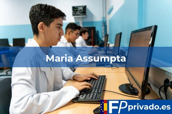 Maria Assumpta centro maria assumpta img