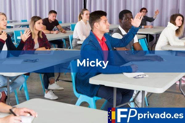 Micky centro micky img