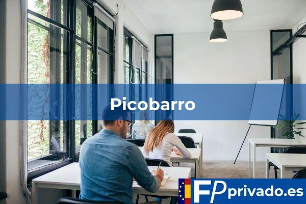 Picobarro centro picobarro img